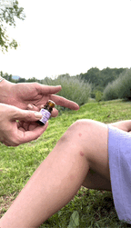 Duo Lavanda