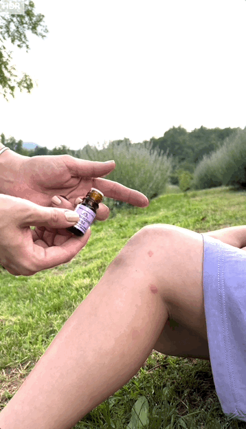 Duo Lavanda